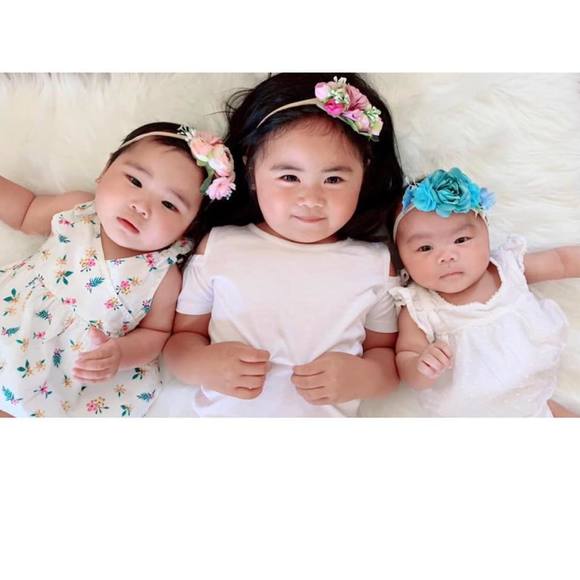 Meet your Posher, Tess - Picture 1 of 1